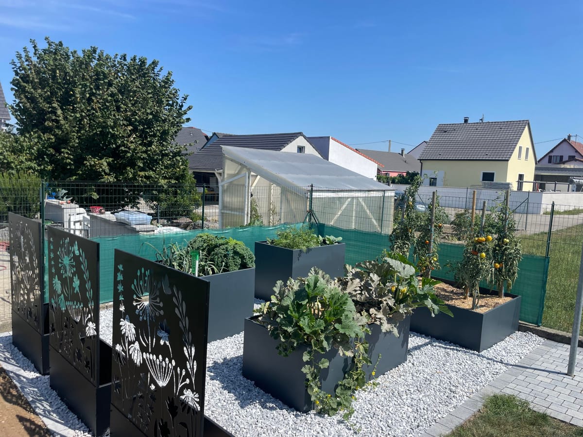 Jardin avec bacs plantés, panneaux décoratifs et pelouse engazonnée