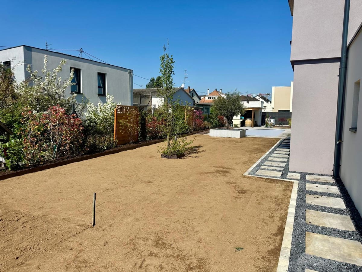 Olivier planté en bac maçonné dans un jardin contemporain à Village-Neuf