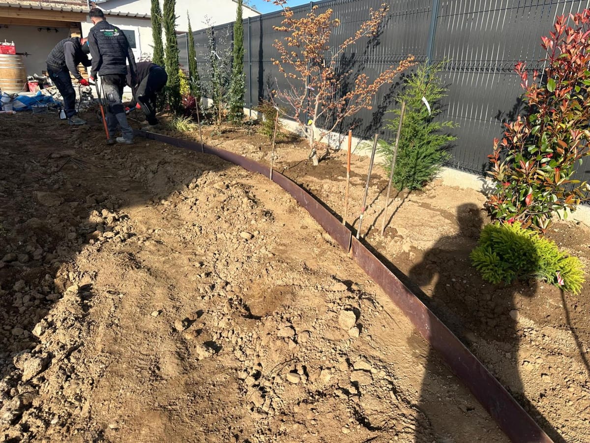 Alignement de cyprès le long d'une clôture occultante à Village-Neuf