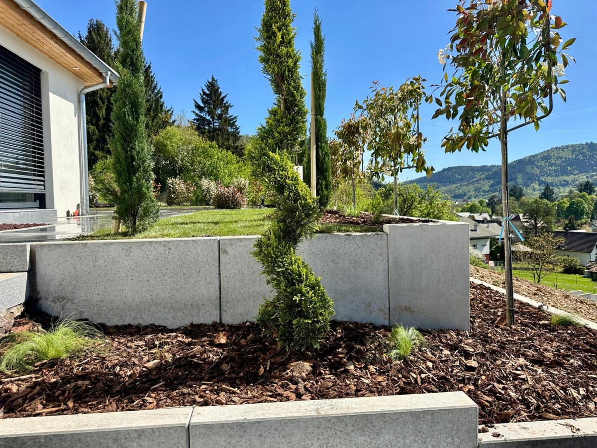 Terrasse avec caniveau de drainage et alignement de cyprès, Willer-sur-Thur